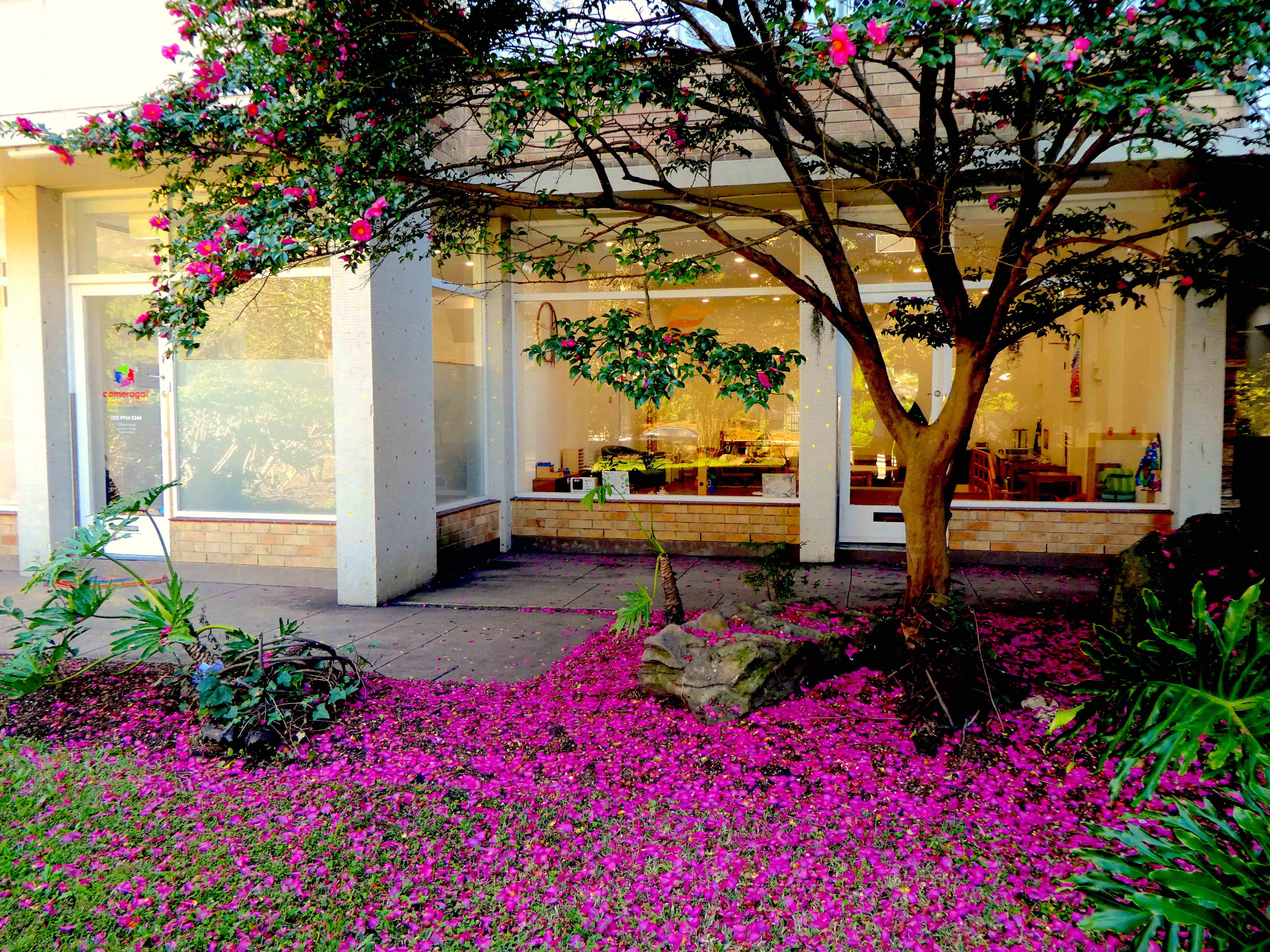 Office Purple 1 WEB.jpg